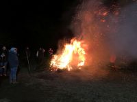 imageKlein041