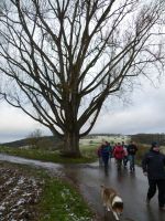 wanderung2018008
